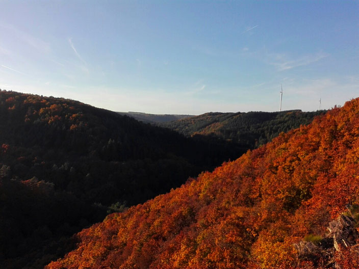 Aussicht auf die Landschaft des Hunsrück