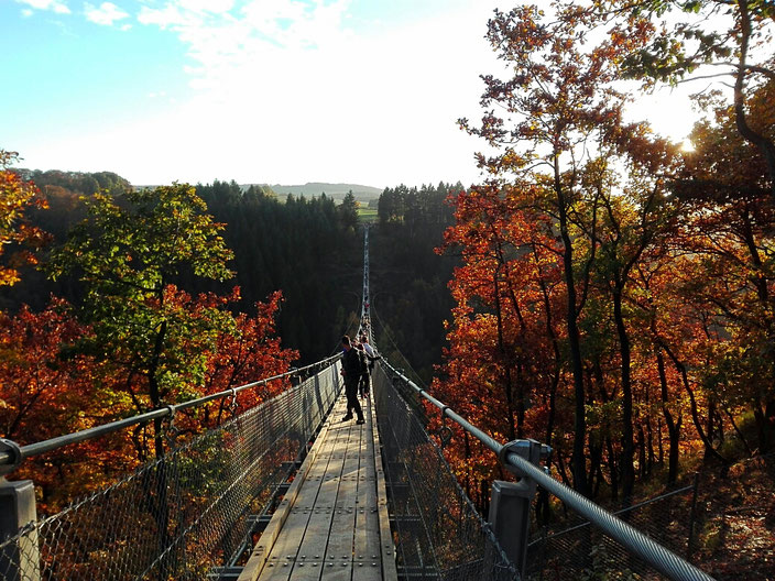 Hängebrücke Geierlay im Herbst