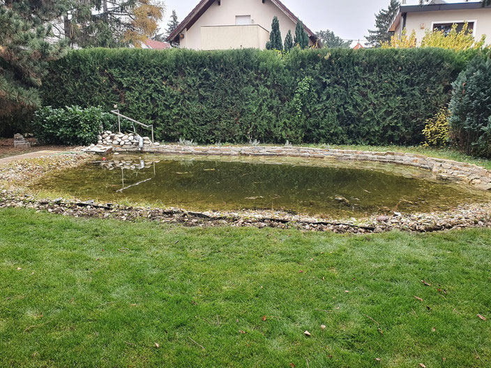 Teicheinwinterung