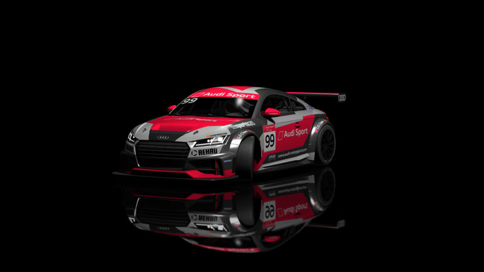 TT Cup 310cv 2016