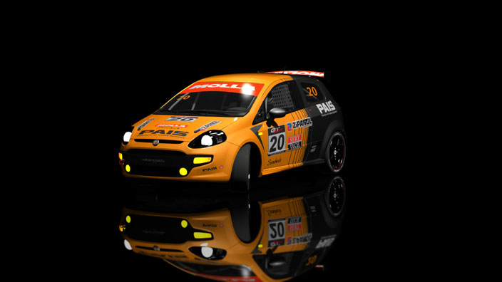 Punto Competizione 220cv 2011