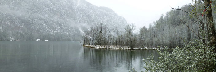 Almsee