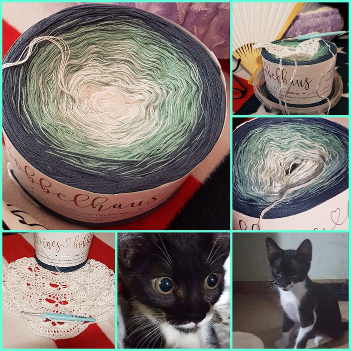 Das 1. Tuch welches für die Transportkosten MEINES griechischen Adoptionskaters Spitty versteigert wurde.