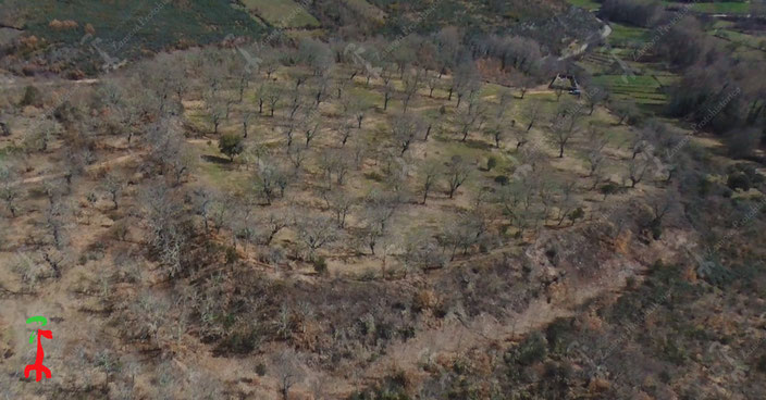 Se muestra una imágen aérea del Castro de la Encarnación, que permite ver su muralla desde el sur Oeste