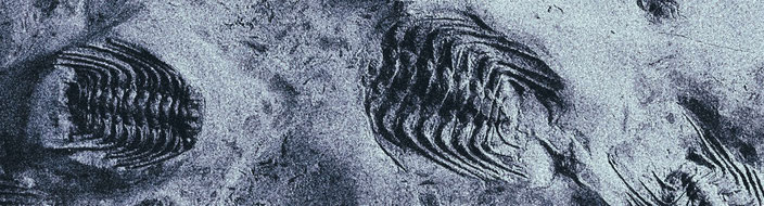 symbolic image of artefacts
