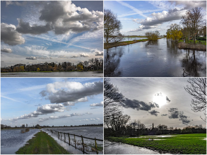 feuchtes Umland 2015
