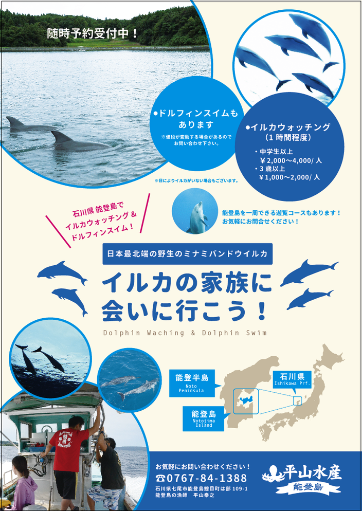 平山水産 様 イルカウォッチングポスター - cockocockococko ページ！