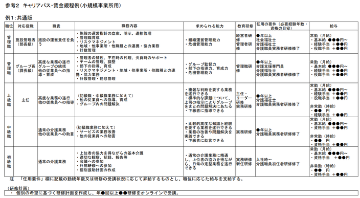 キャリアパス要件の制度資料3