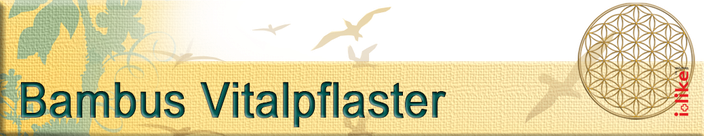 i-like Vitalpflaster Bio fusspflaster Maag-isch maagisch Zürich Bern basel fribourg genf graubünden glarus St. Gallen Schaffhausen bad Ragaz Pfäffikon navels Wollerau Thurgau Winterthur uznach Bülach glattfelden egloisau rheinsfelden Äsch Hallbrugg Aargau