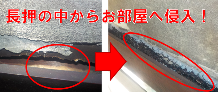 nezumikuzyo-nageshinosukima