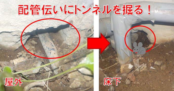 nezumikuzyo-haikandutai-tonneru