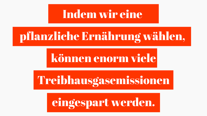 Pflanzliche Ernährung und Treibhausgasemissionen RiekesBlog