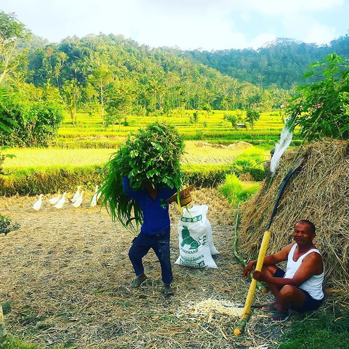 Farmer´s at Munduk.