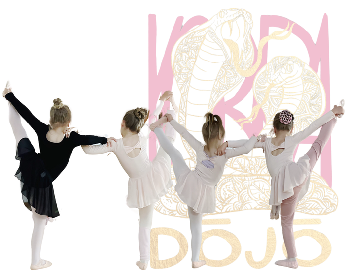Ballettschule Göttingen Northeim Uslar Hardegsen Ballettmäuse