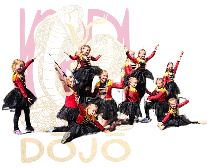 Kindertanzgruppe Dance Fusion Tanzschule Kobra Dojo zertifiziertes und pädagogisch fundiertes Training