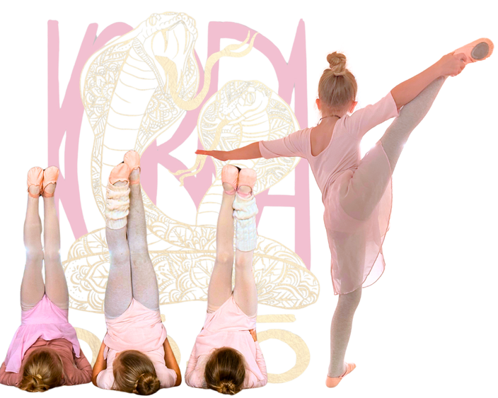 Ballettschule Göttingen Northeim Uslar Hardegsen Ballettmäuse
