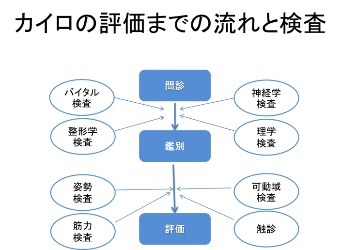 カイロプラクティックの検査 神経の働きを整えることで身体が楽に