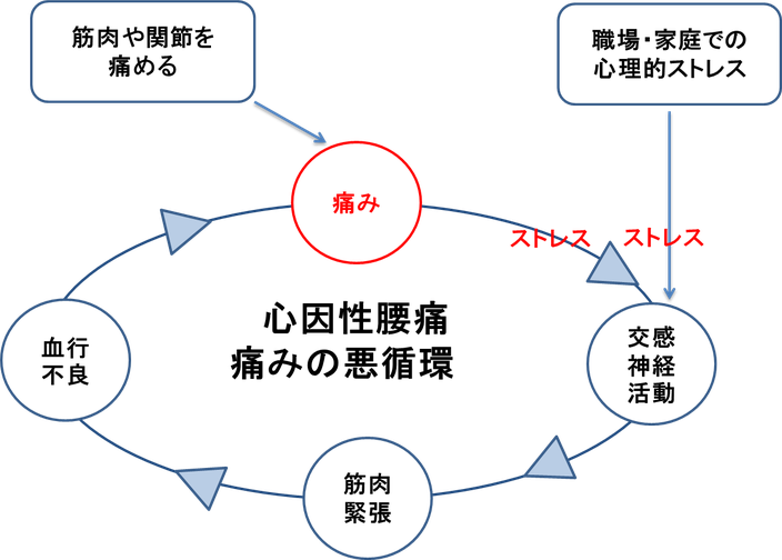 心因性腰痛はストレスから自律神経活動が乱れて起こることがあります