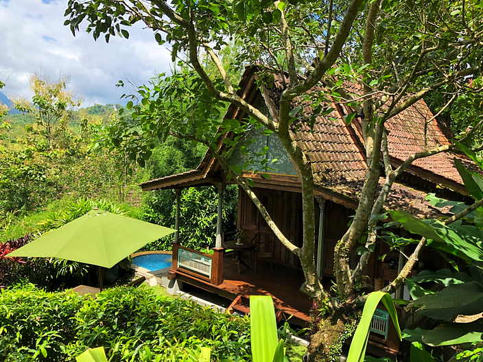 My Garden Pool Plunge Villa.