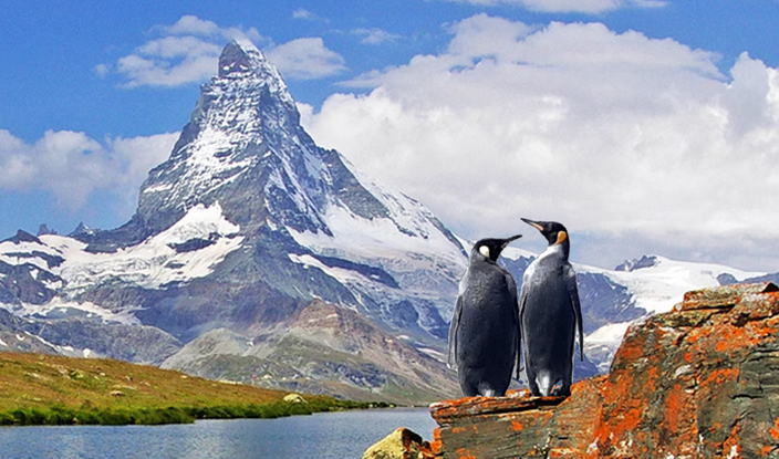 gestravt           offenes Netzbuch           Netzbuchbrief          Netzbuchmail           SYNA-Kassenpfusch