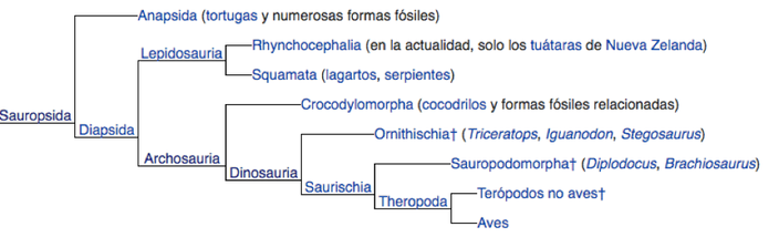 Fuente: https://es.wikipedia.org/wiki/Reptilia