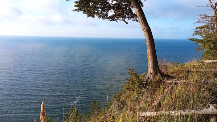 Höchste Erhebung an der polnischen Ostsee 93 Meter über dem Meeresspiegel 