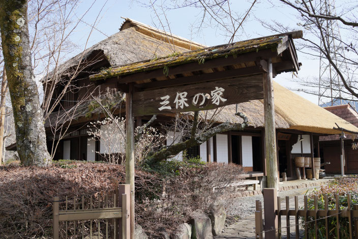 丹沢湖と大山阿夫利神社 こうちゃんのふれあい旅行記