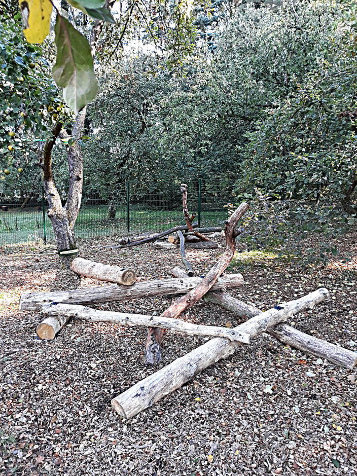 Baumstamm-Mikado - benatis Webseite!