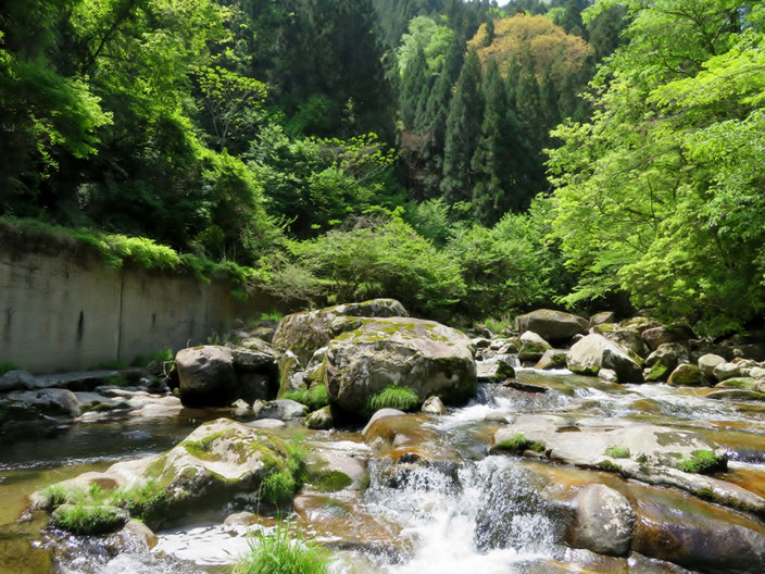 本格的な渓流。