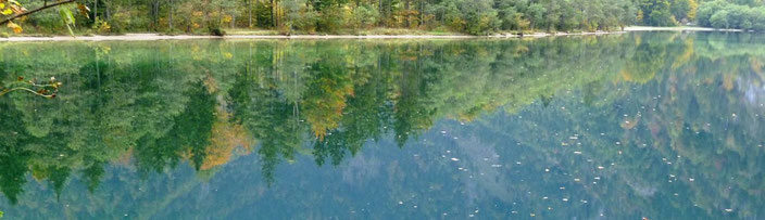 Offensee