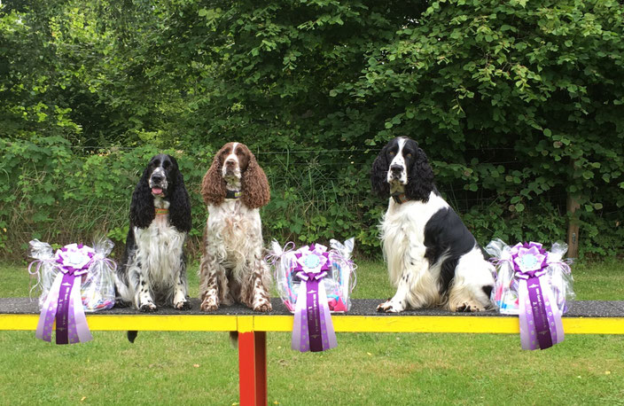 1., 2. und 3. Platz für das Team "vom Belauer See" in Groß Grönau, Foto: Svenja Hansen