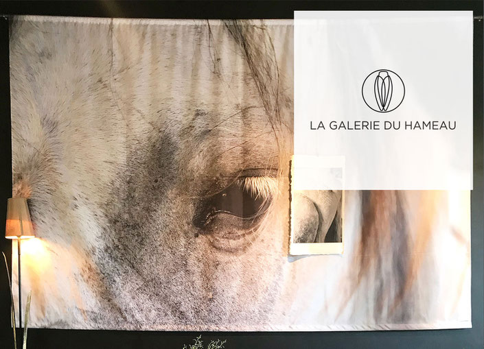 The timeless Camargue by Elizabeth Baille at the Hameau's gallery