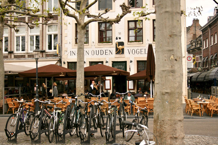Maastricht Netherlands ofpenguinsandelephants market square bikes