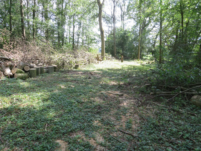 Strook tussen de Beneden Slinge en de Adderbroekwei. De bomen en struiken zijn alvast gekapt om herstel van het relief (afgraven opgebrachte grond) mogelijk te maken (zie een van de kaarten hierboven).