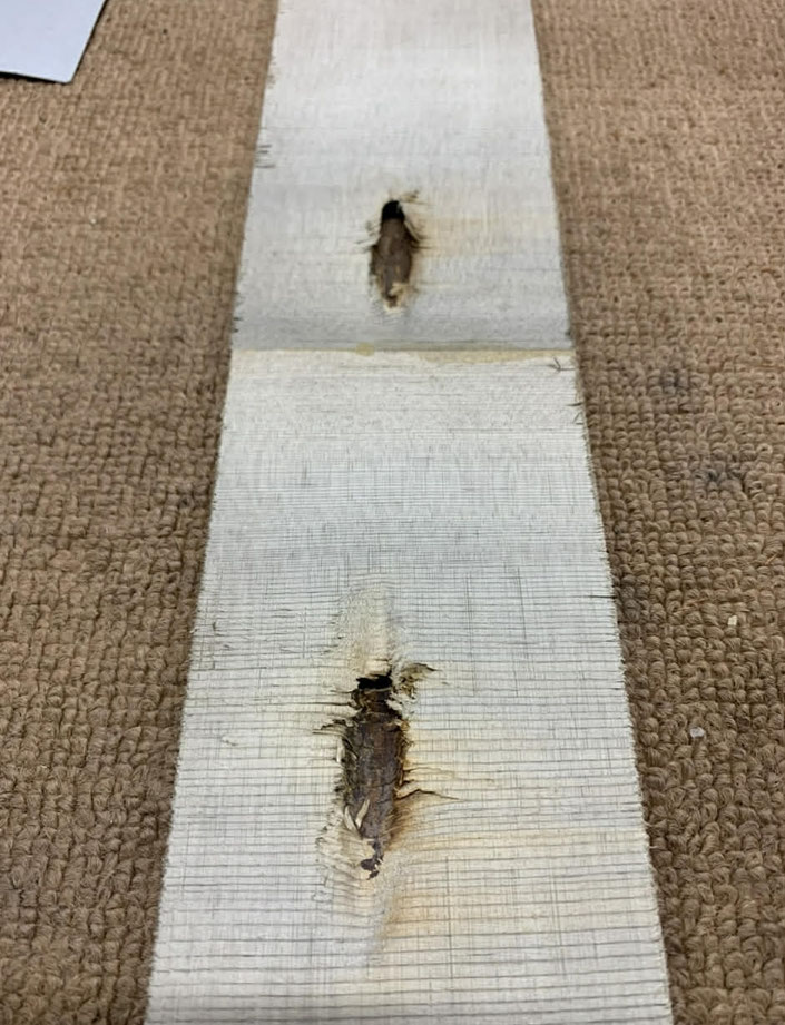 釘痕発祥例