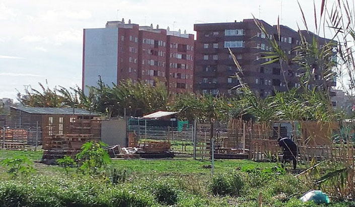 Terrenos ocupados  en el barrio de Benimaclet  en València.