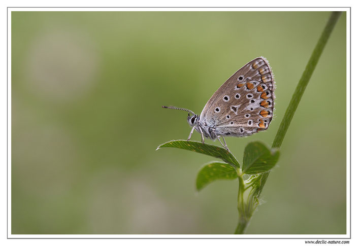 .  (réf. PdM 2013_161)