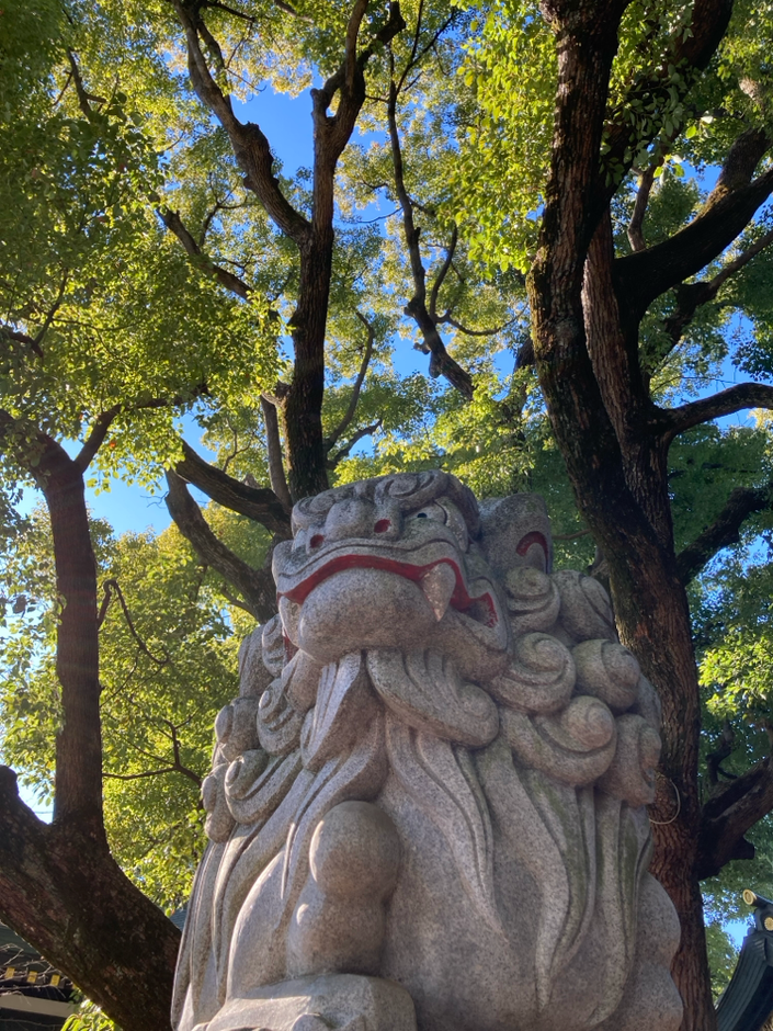 穴八幡宮の狛犬。かっこいい！