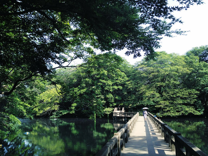 Great weather on the farewell event  (Inokashira park near the Ghibli museum)