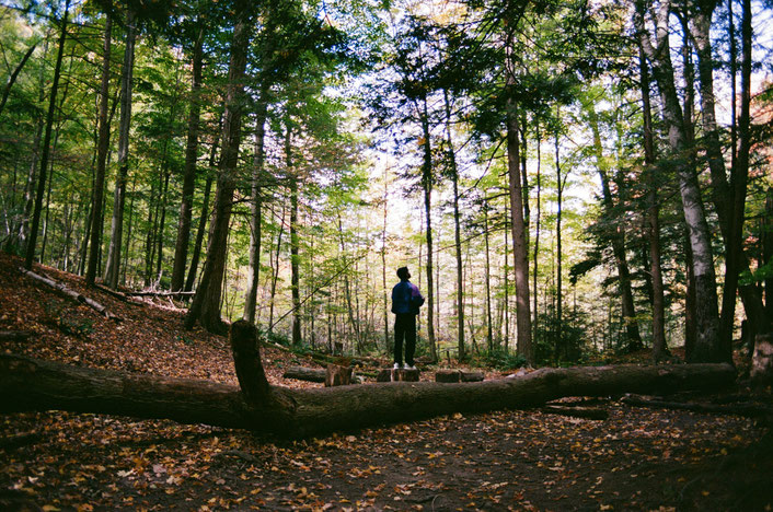 Teamevent in der Natur zur Stressbewältigung – Mitarbeitende beim gemeinsamen Wandern und Austausch