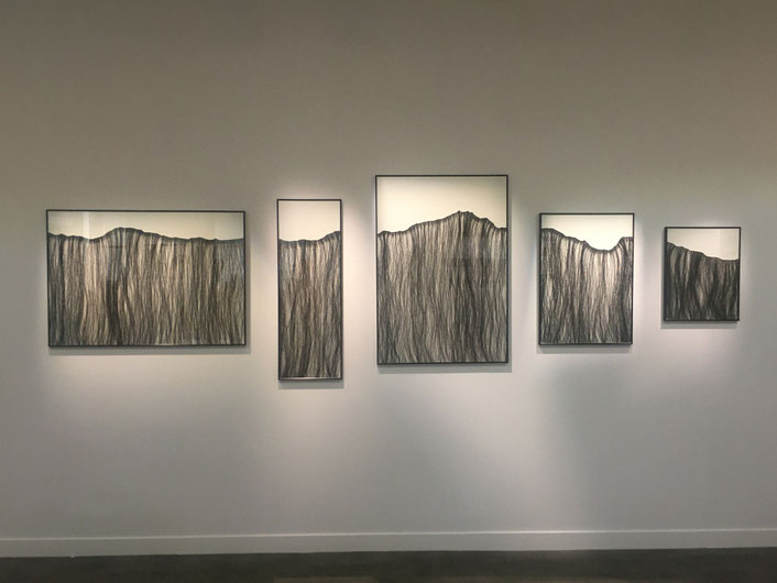 Vue de l’exposition au centre culturel St Cyprien à Toulouse  