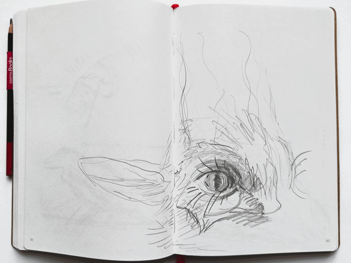 SKETCHBOOK 2025. Animal studies after German old master drawings. Print room of the Kupferstich-Kabinett Dresden, series of pencil drawings