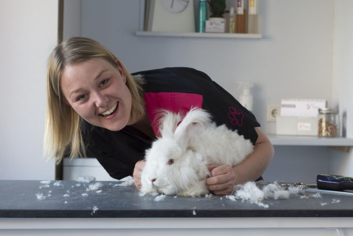 Mijn eigen -inmiddels overleden- grote angora, Moos