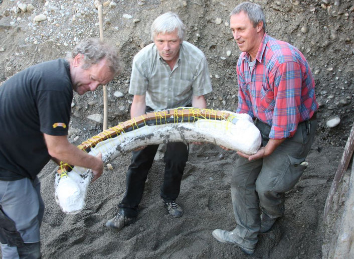 Archäologie Ebbe Nielsen