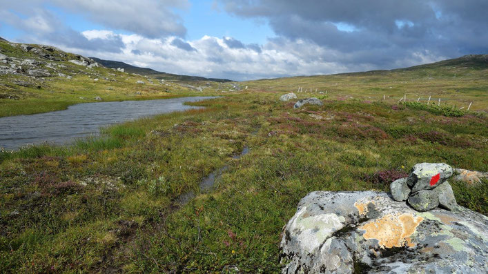 viel Wasser im norwegischen Fjell