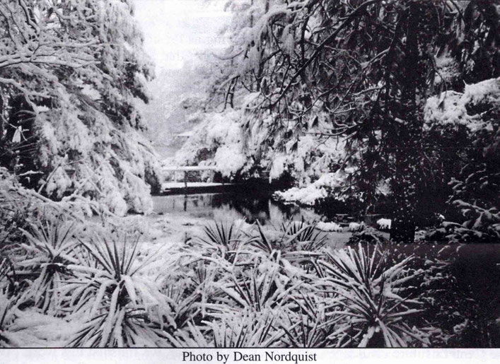 Winter 2002, snow on the Center