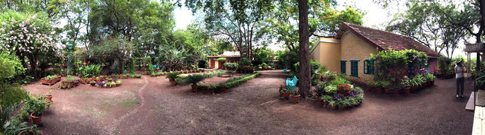 View from the porch