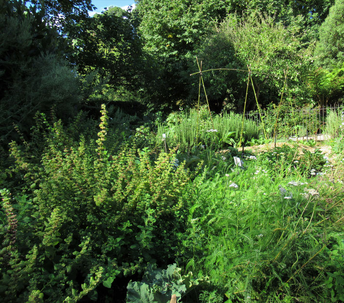 Das Cottage ist von einem schönen Garten umgeben, der von der Heilkraft verschiedener Kräuter erzählt.