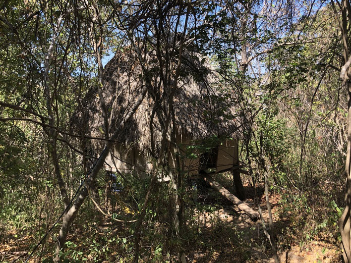 The treehouse hidden in nature