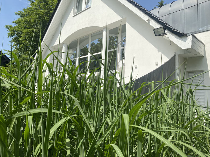 Gartenansicht